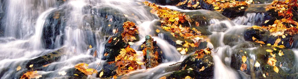 pic fall and water